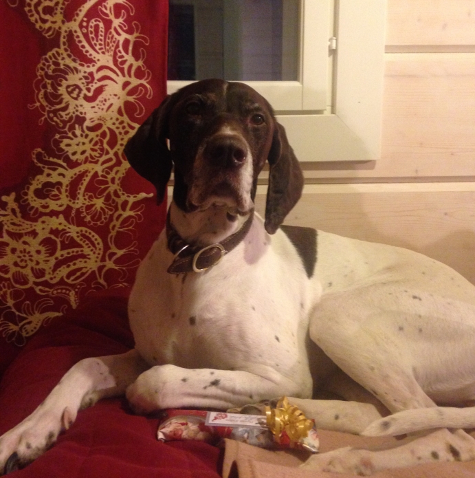 Nelli