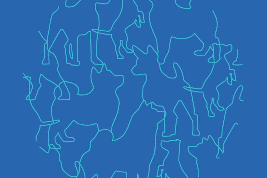 Aiming to host the FCI World Dog Show in 2025 Suomen Kennelliitto