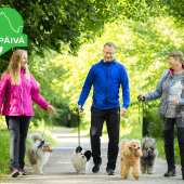 Koiranulkoiluttajat liikkeellä