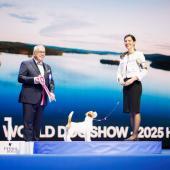 Ulkomuototuomari palkitsemassa koirakkoa näyttelyissä