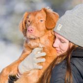 Novascotiannoutaja nuoren naisen sylissä talvella.