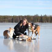 Suur-Savon kaverikoiravastaava A Kyrolainen