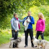 Koirakot kohtaavat lenkkipolulla
