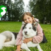 Koiranpäivä 2026_1440 x 960