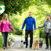 Koiranpäivän vinkit 2026_1440 x 960