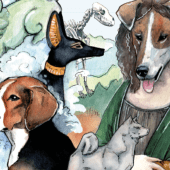 Koiramateriaalia yläkouluille kuva