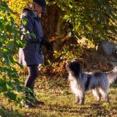 Nainen ja koira ulkoilemassa syyssäässä
