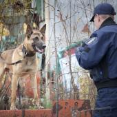 Poliisikoira ja poliisi