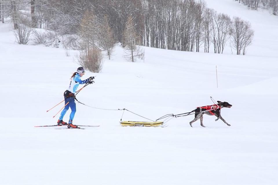 KoiravaljakkourheilunMM2019suomalaiset