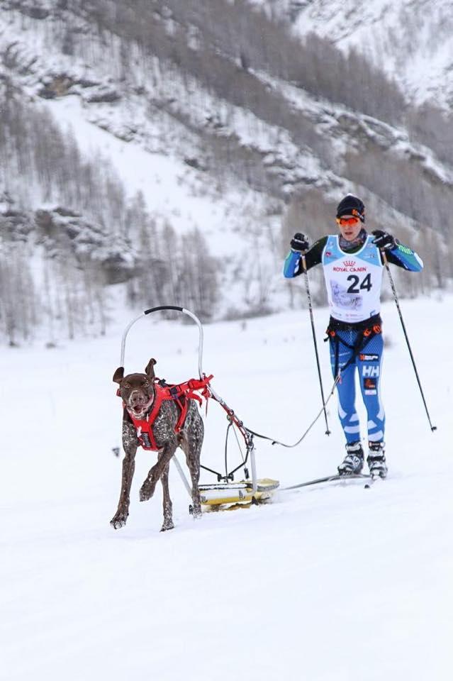 KoiravaljakkourheilunMM2019suomalaiset2