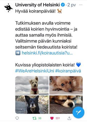 HY Koiranpäivä 2021