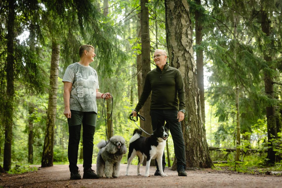 Koirakot ulkoilemassa kesällä