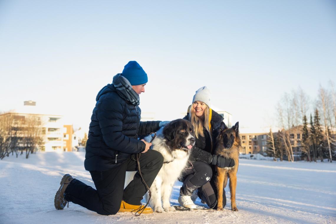 Ihmiset ja koirat ulkoilemassa