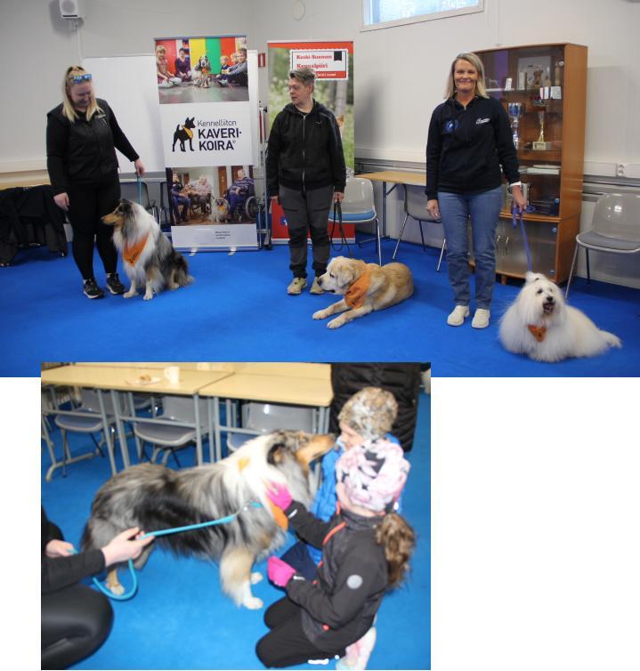 Kuvia Koiranpäivästä