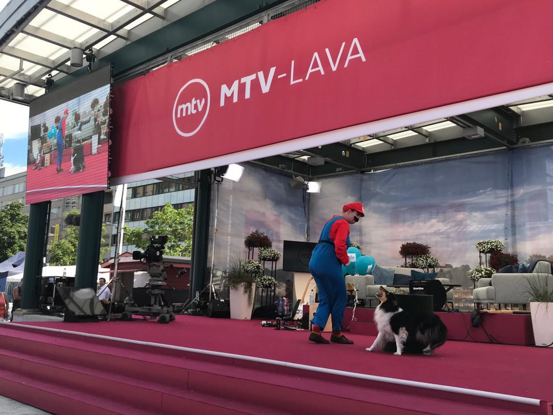 Koiratanssija Sini Eriksson ja shetlanninlammaskoira Zelda esittivät SuomiAreenassa Super Mario -esityksensä