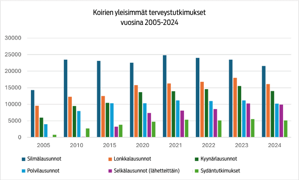 Koirien terveystutkimukset 2005-2024