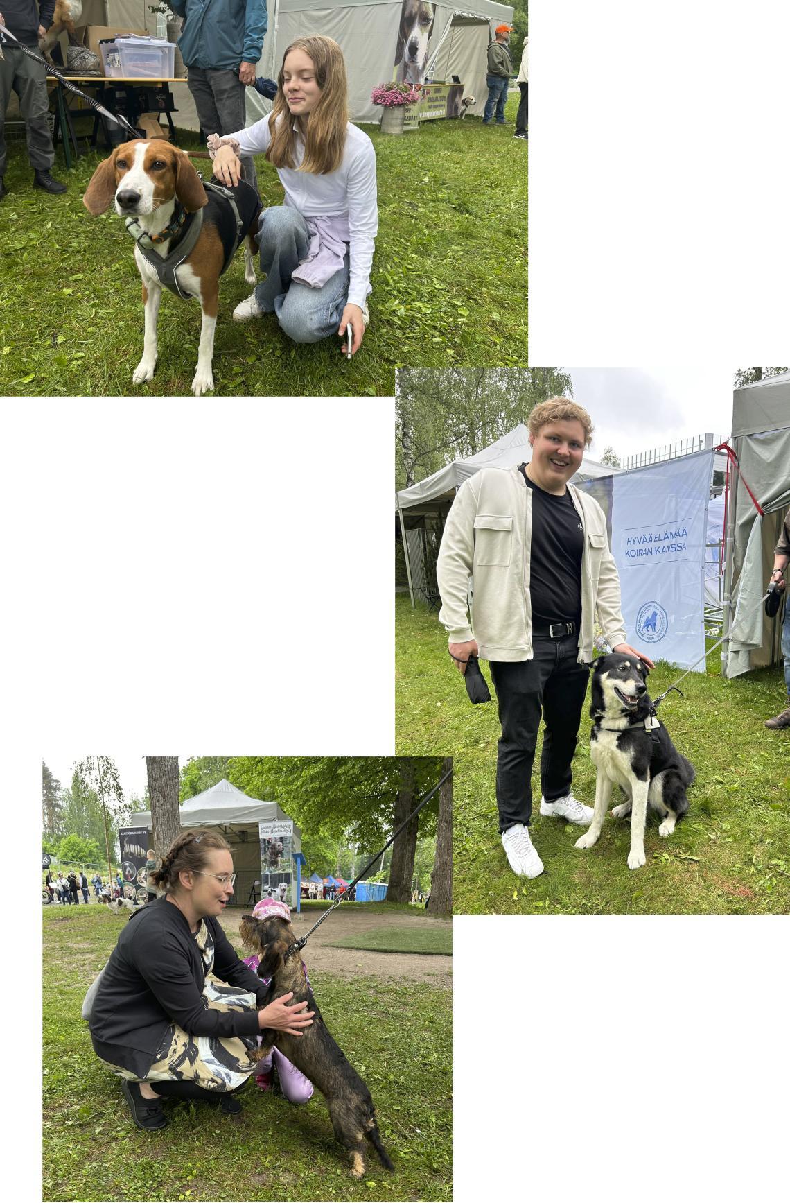 Kolme kuvaa joissa iloiset ihmiset silittävät koiria Erämessuilla