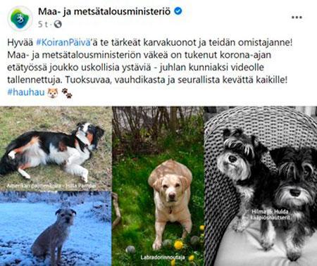 MMM Koiranpäivä 2021