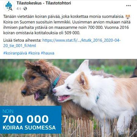 Tilastokeskus Koiranpäivä 2021