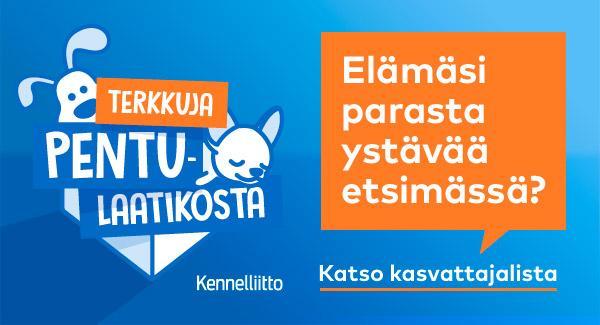 Terkkuja pentulaatikosta kasvattajat