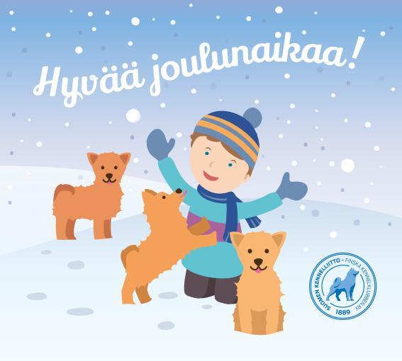 Hyvää joulunaikaa