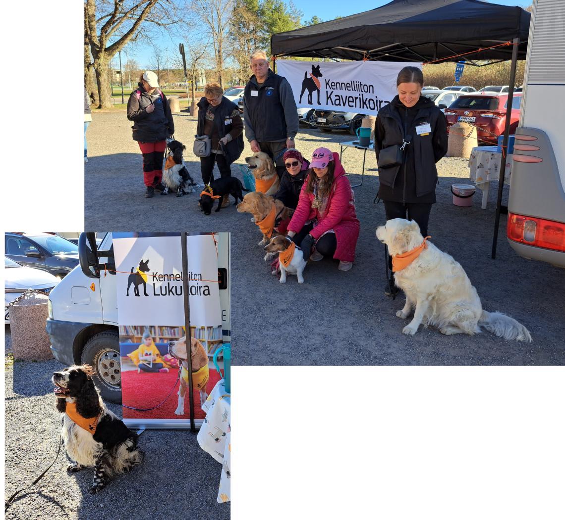 Kuvia Koiranpäivästä