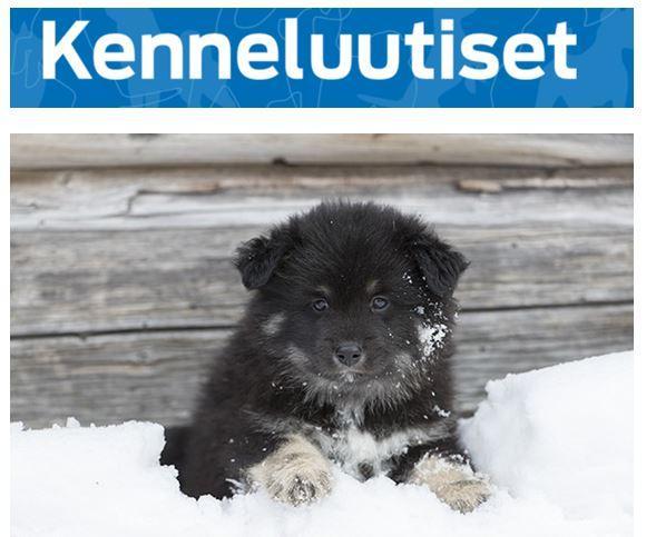 Kenneluutiset1 