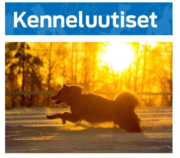 Kenneluutiset_helmikuu2019