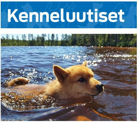 Kenneluutisetkesäkuu