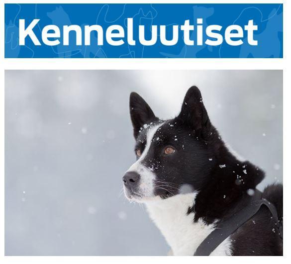 Kenneluutiset