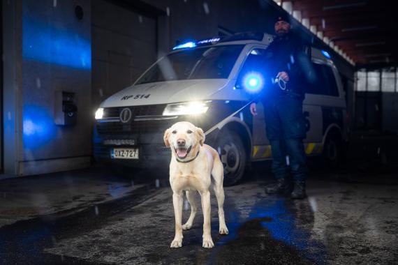 Vuoden poliisikoira 2022 Sampo