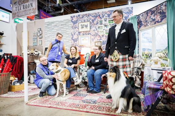 Collieyhdistys rotutori 2025_Jukka Pätynen