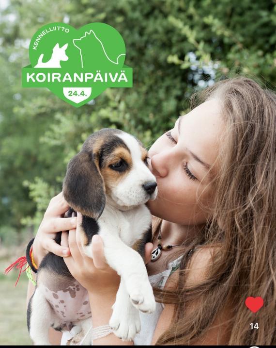 Somekuva Koiranpäivästä