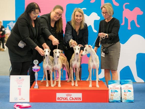 BIS Puppy Show kasvattajaryhmä