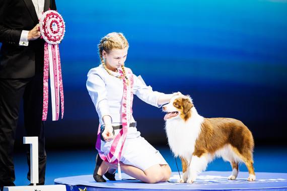 WDS2025 Ch junior handler_Jukka Pätynen