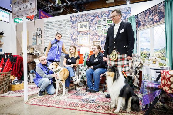 Collieyhdistyksen osasto 2025_verkko