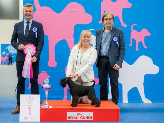 Helsinki Winner Puppy Show 2023 BIS puppy