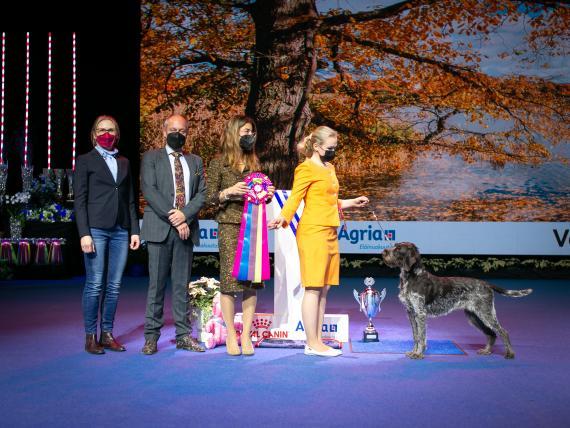 Junior handler suomenmestari 19.12.2021