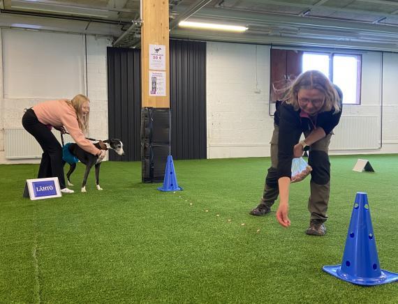 Kuvia Koiranpäivästä