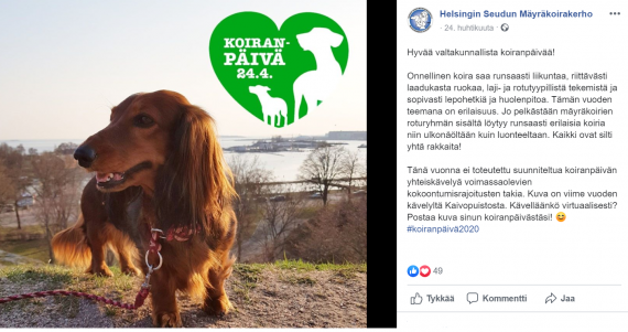 Helsingin Seudun Mäyräkoirakerhon Koiranpäivän somehaaste