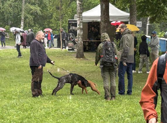 Ihmisiä Erämessuilla