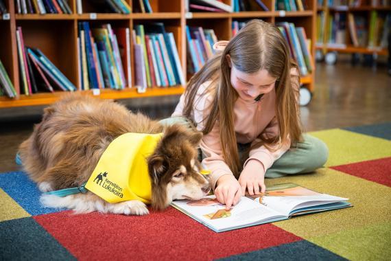 Tyttö ja suomenlapinkoira, jolla on Kennelliiton lukukoirahuivi kaulassaan, makaavat kirjaston lastenosaston matolla, tyttö lukee koiralle ääneen ja osoittaa kuvaa kirjassa.