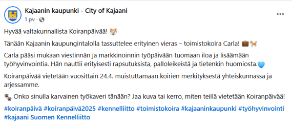 Kajaanin kaupungin Facebook-päivitys Koiranpäivänä 2025