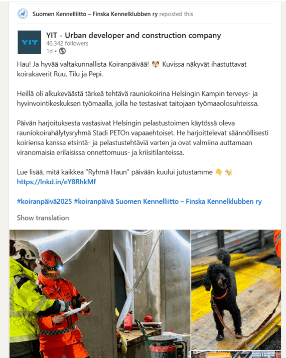 YIT rauniokoirat mukana työmaalla