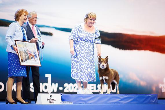 Näyttelyn kaunein kotimainen koira_Jukka Pätynen