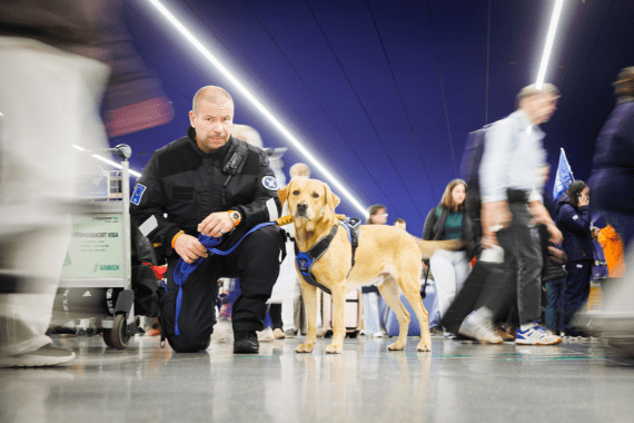 Vuoden tullikoira 2025 Rico