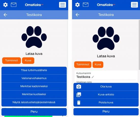 Omakoira-mobiilisovelluksen koiran toiminnot ja kuva