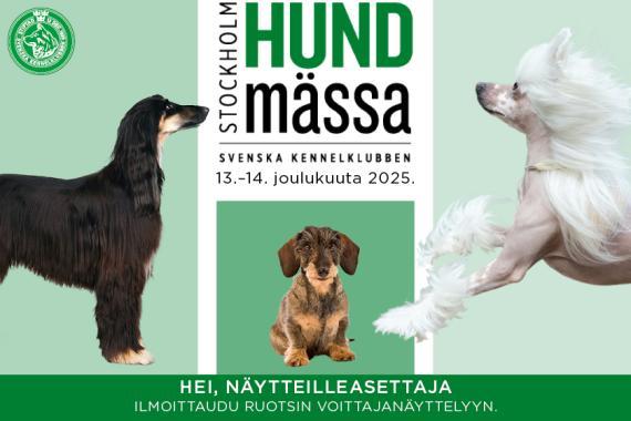 Hundmässa 2025 banneri