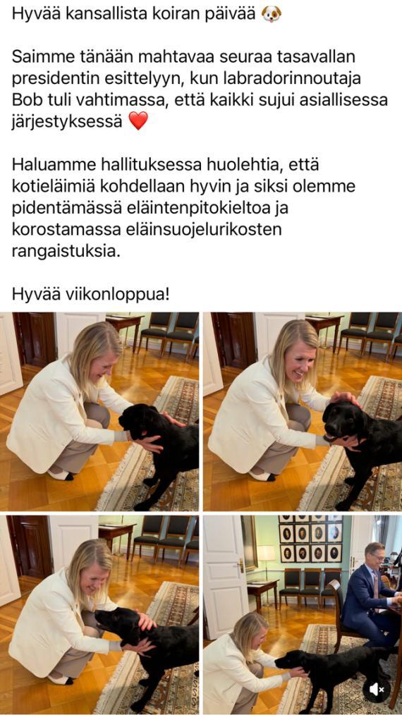 Somekuva Koiranpäivästä