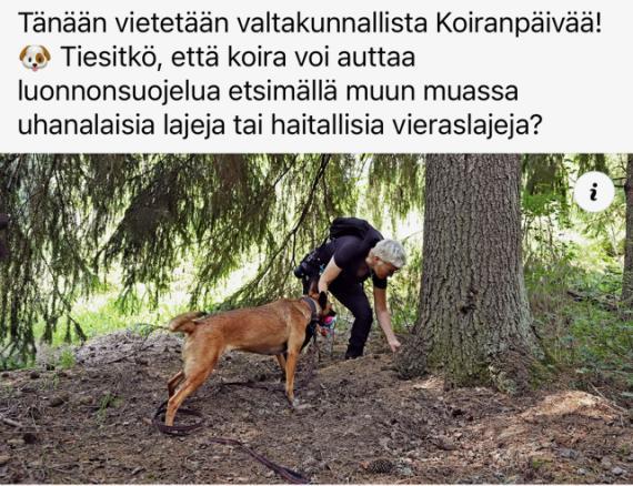 Somekuva Koiranpäivästä